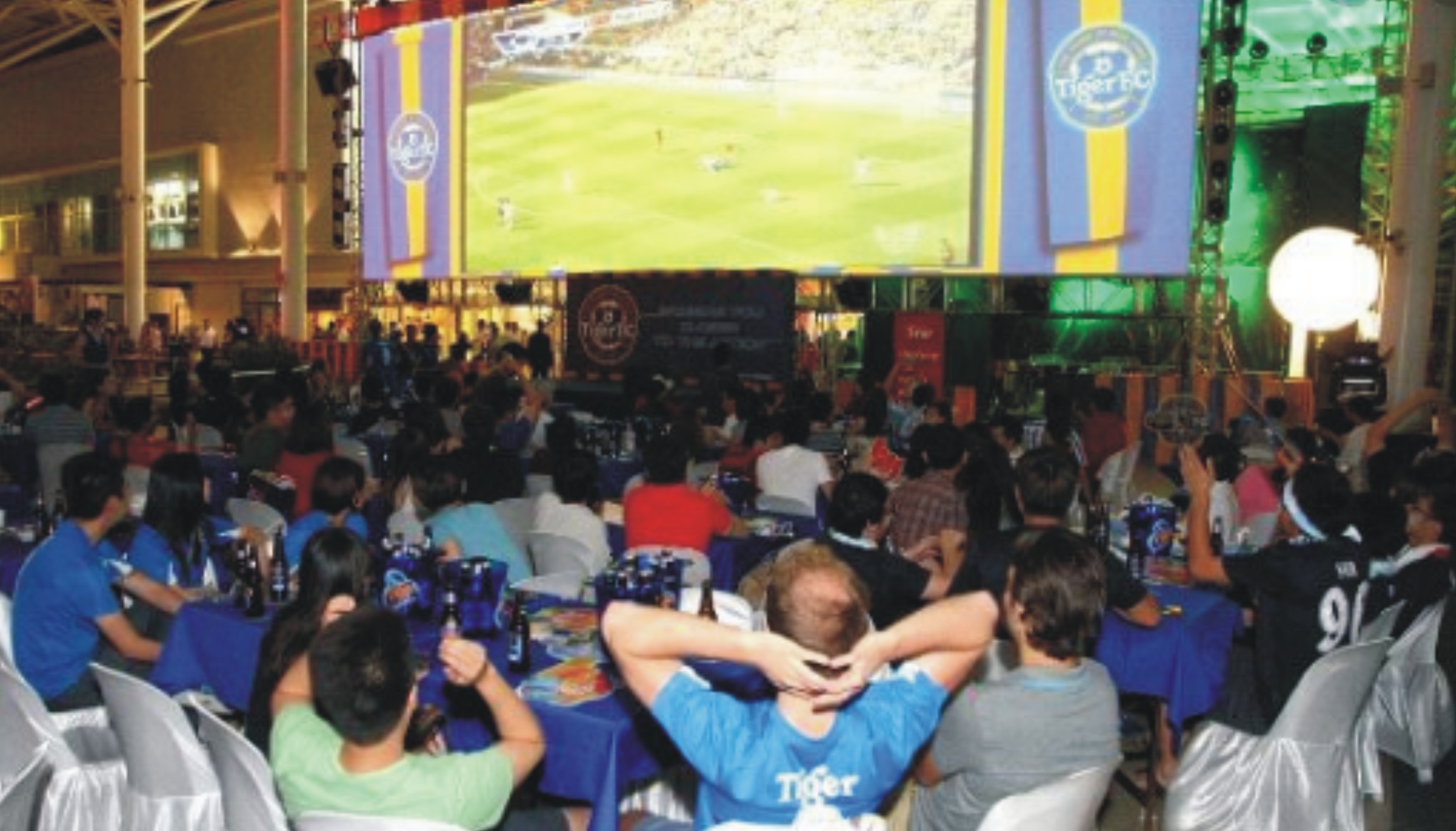 football viewing center business plan in nigeria